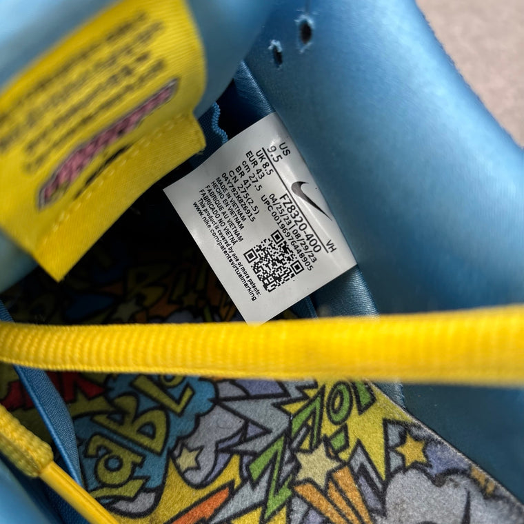 The Powerpuff Girls x Dunk Pro SB QS Low Bubbles — photo 14