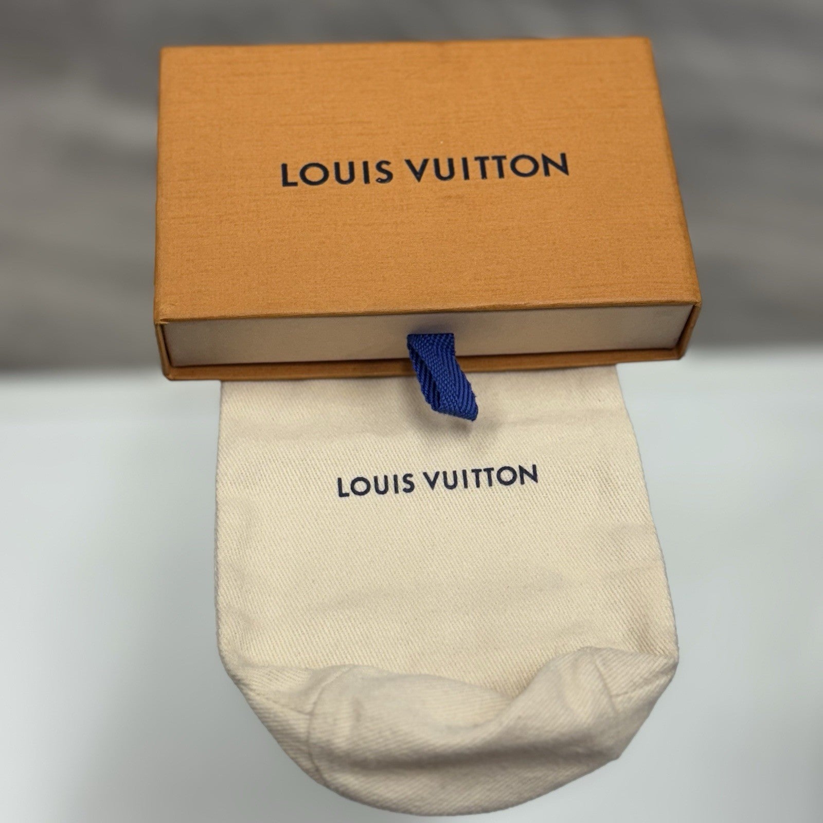 Louis Vuitton Monogram Chain Bracelet | WORN 1-3x | SUPER CLEAN!