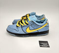 Size 9.5 - Nike The Powerpuff Girls x Dunk Pro SB QS Low Bubbles | GREAT!