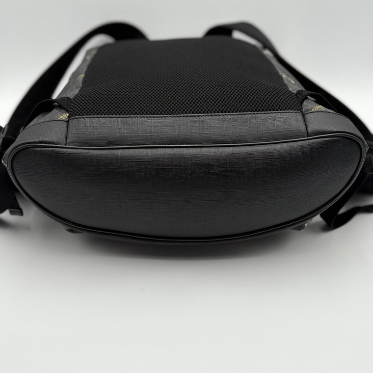 Bestiary GG Supreme Tigers Backpack Black Grey — photo 12