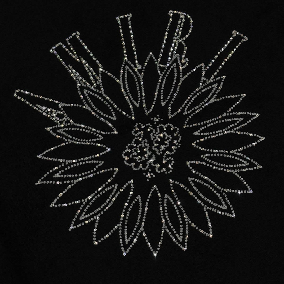 Crystal Embellished Rhinestone Logo Hoodie — photo 2