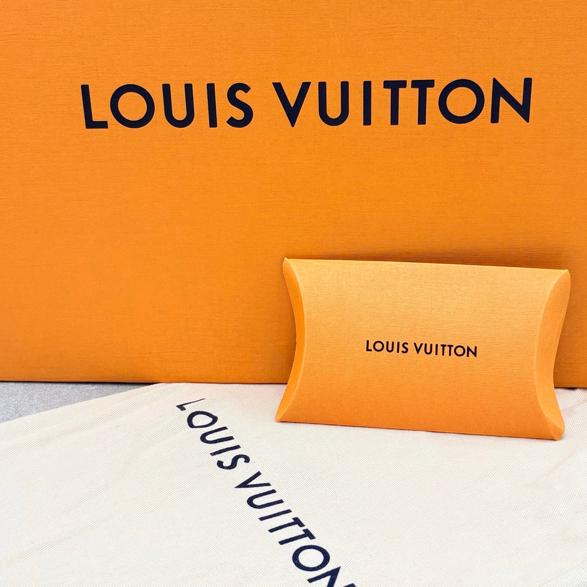 ONLY TRIED ON! Louis Vuitton Tri Color Run Away Low — photo 16