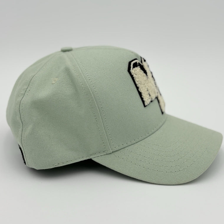 Chenille MA Patch Canvas Hat Frosty Green — photo 2
